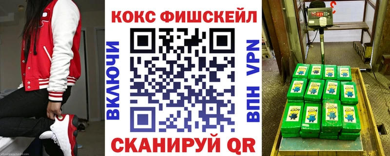 Cocaine Fish Scale  купить наркотик  MEGA ссылка  Петров Вал 