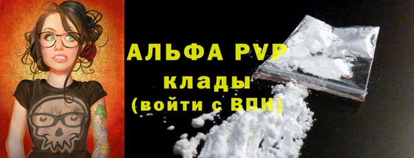 ешки Новозыбков