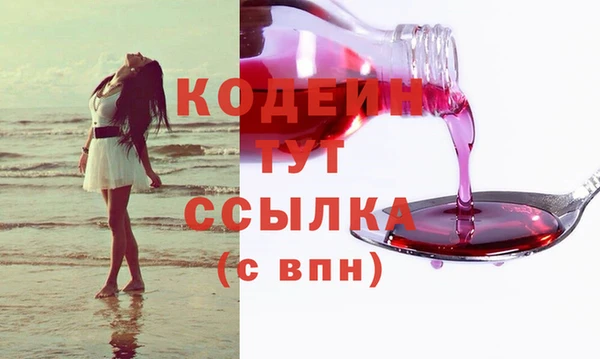 твердый Тайга