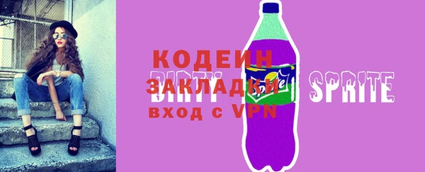 твердый Тайга