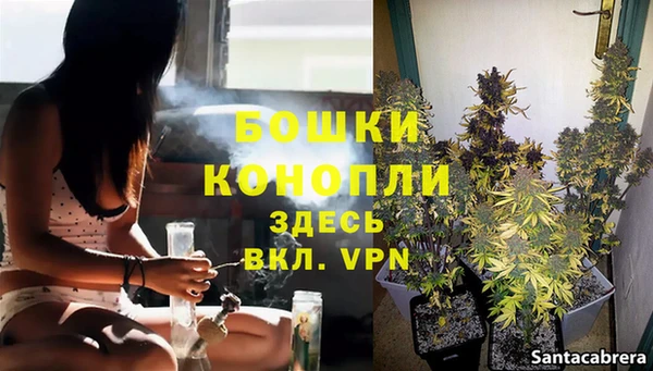МДПВ Гусев