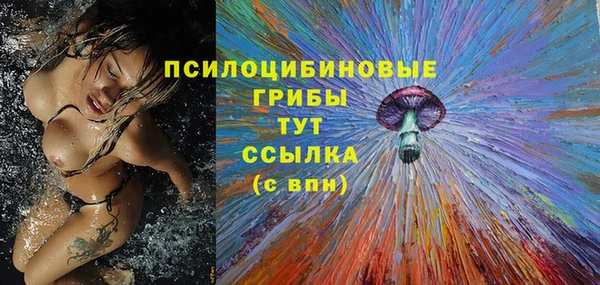 мет Сясьстрой