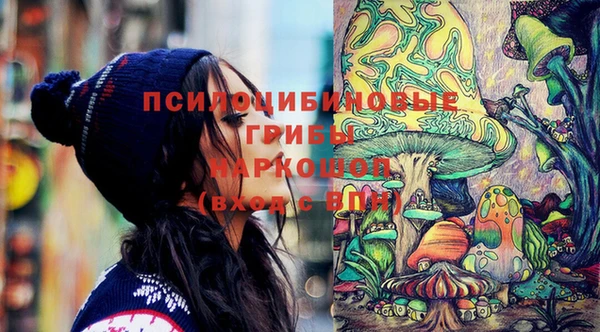 мет Сясьстрой