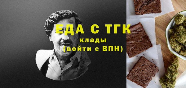 твердый Тайга
