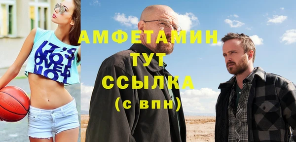 твердый Тайга