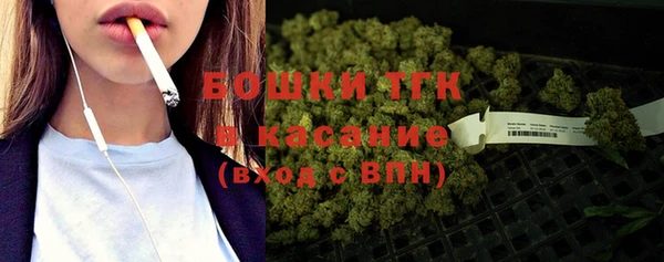 МДПВ Гусев