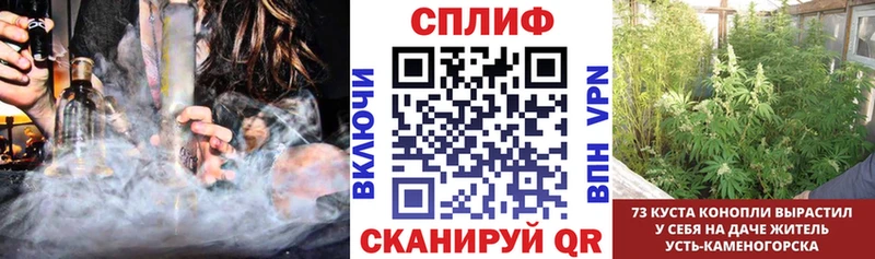 это клад  Петров Вал  Каннабис тримм  закладка 